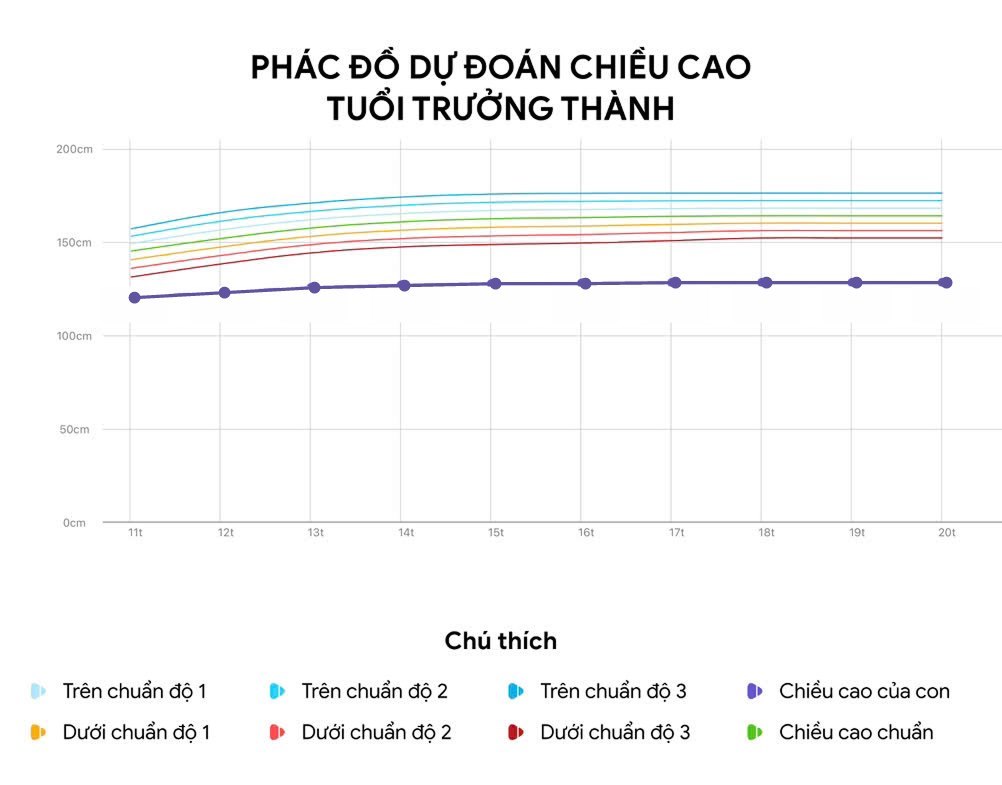 Mẫu bản phân tích thể trạng: biểu đồ phác đồ dự đoán chiều cao tuổi trưởng thành theo từng năm